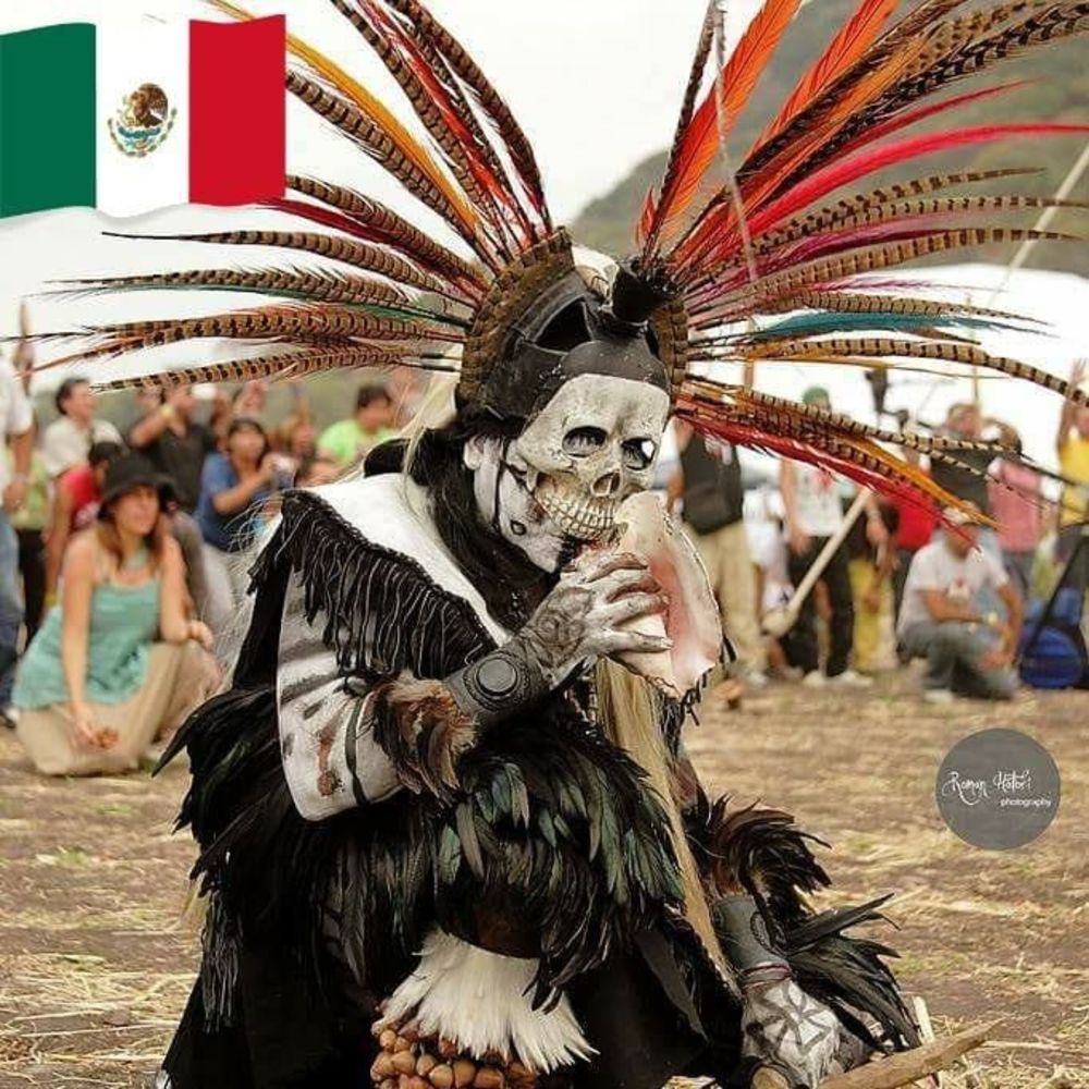 Meet your Posher, Damian